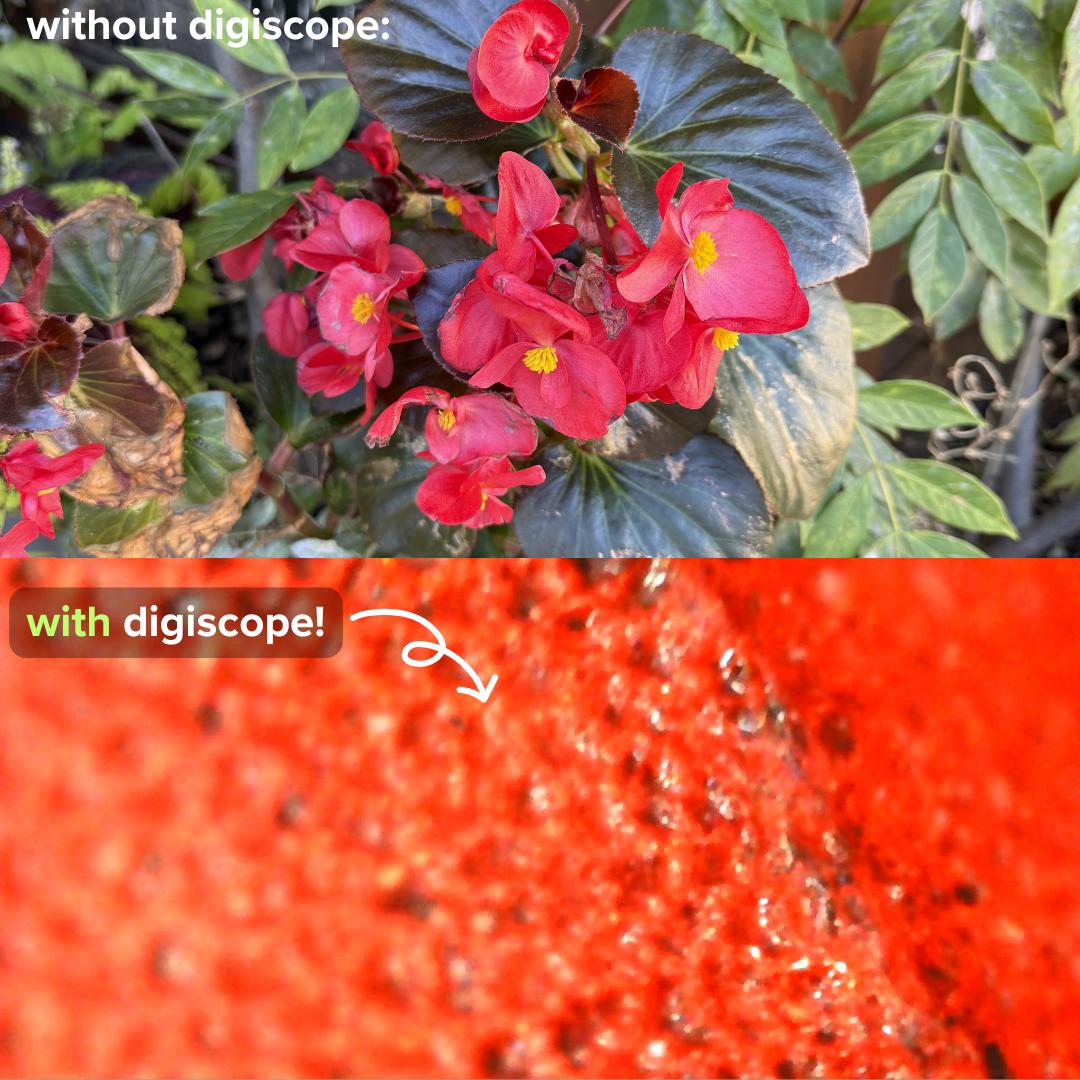 Digiscope - microscope numérique 